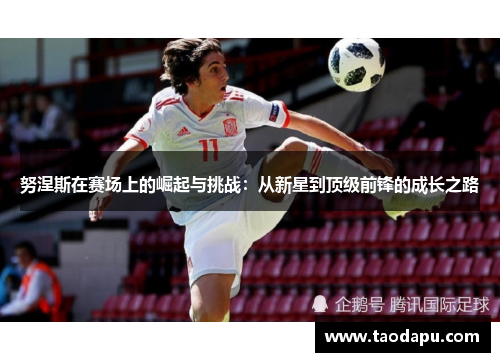 努涅斯在赛场上的崛起与挑战：从新星到顶级前锋的成长之路