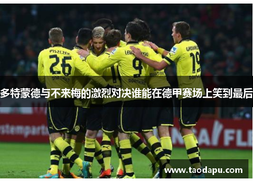 多特蒙德与不来梅的激烈对决谁能在德甲赛场上笑到最后
