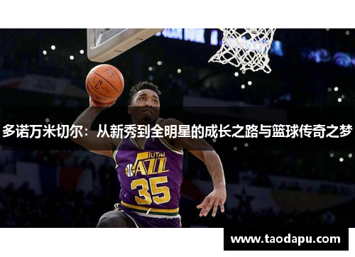 多诺万米切尔：从新秀到全明星的成长之路与篮球传奇之梦